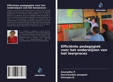 Bookcover of Efficiënte pedagogiek voor het onderwijzen van het leerproces