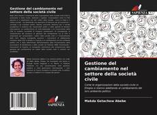 Gestione del cambiamento nel settore della società civile的封面