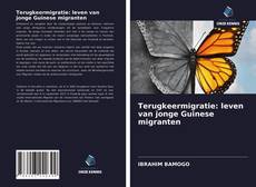 Bookcover of Terugkeermigratie: leven van jonge Guinese migranten