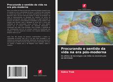 Buchcover von Procurando o sentido da vida na era pós-moderna