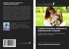 Capa do livro de Capital humano materno y malnutrición infantil 