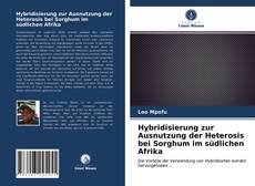 Copertina di Hybridisierung zur Ausnutzung der Heterosis bei Sorghum im südlichen Afrika