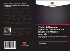 L'hybridation pour exploiter l'hétérosis du sorgho en Afrique australe的封面