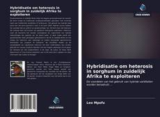 Couverture de Hybridisatie om heterosis in sorghum in zuidelijk Afrika te exploiteren