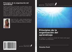 Bookcover of Principios de la organización del aprendizaje