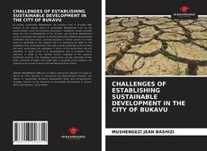 Portada del libro de CHALLENGES OF ESTABLISHING SUSTAINABLE DEVELOPMENT IN THE CITY OF BUKAVU