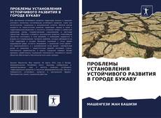 ПРОБЛЕМЫ УСТАНОВЛЕНИЯ УСТОЙЧИВОГО РАЗВИТИЯ В ГОРОДЕ БУКАВУ的封面