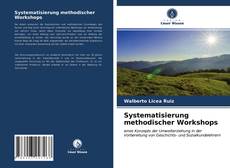 Bookcover of Systematisierung methodischer Workshops