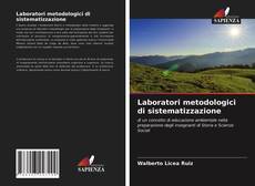 Обложка Laboratori metodologici di sistematizzazione