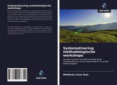 Systematisering methodologische workshops的封面