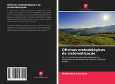 Bookcover of Oficinas metodológicas de sistematização