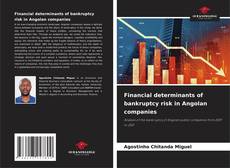 Buchcover von Financial determinants of bankruptcy risk in Angolan companies