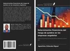 Capa do livro de Determinantes financieros del riesgo de quiebra en las empresas angoleñas 