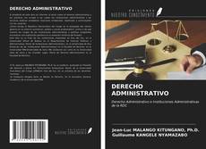 Bookcover of DERECHO ADMINISTRATIVO