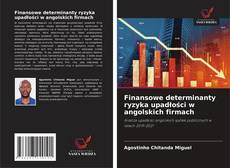 Buchcover von Finansowe determinanty ryzyka upadłości w angolskich firmach