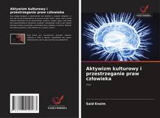 Copertina di Aktywizm kulturowy i przestrzeganie praw człowieka