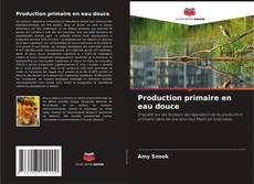 Buchcover von Production primaire en eau douce