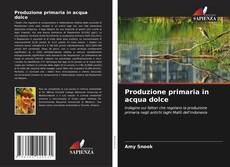 Bookcover of Produzione primaria in acqua dolce