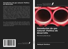 Bookcover of Gasoductos de gas natural: Política de desarrollo