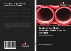 Bookcover of Gasdotti per il gas naturale: Politica per lo sviluppo