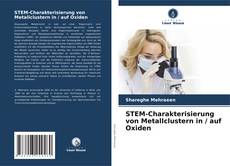 Обложка STEM-Charakterisierung von Metallclustern in / auf Oxiden