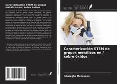 Capa do livro de Caracterización STEM de grupos metálicos en / sobre óxidos 