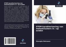 Обложка STEM-karakterisering van metaalclusters in / op oxiden