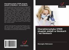 Buchcover von Charakterystyka STEM skupisk metali w tlenkach / na tlenkach