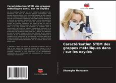 Capa do livro de Caractérisation STEM des grappes métalliques dans / sur les oxydes 