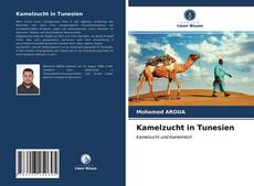 Обложка Kamelzucht in Tunesien