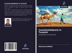 Copertina di Camelinefokkerij in Tunesië