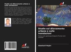 Bookcover of Studio sul dilavamento urbano e sulle inondazioni