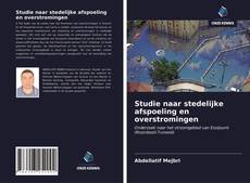 Copertina di Studie naar stedelijke afspoeling en overstromingen