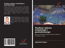 Bookcover of Studium spływu miejskiego i powodziowego