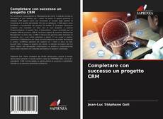 Completare con successo un progetto CRM的封面