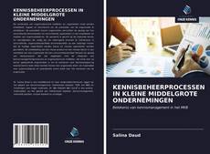 KENNISBEHEERPROCESSEN IN KLEINE MIDDELGROTE ONDERNEMINGEN的封面