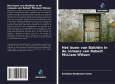 Het lezen van Bakhtin in de romans van Robert McLiam Wilson的封面
