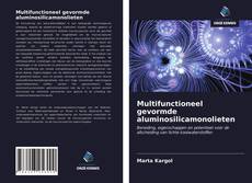 Bookcover of Multifunctioneel gevormde aluminosilicamonolieten