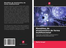 Capa do livro de Monólitos de aluminosilica de forma multifuncional 