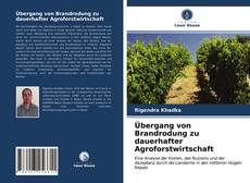 Bookcover of Übergang von Brandrodung zu dauerhafter Agroforstwirtschaft