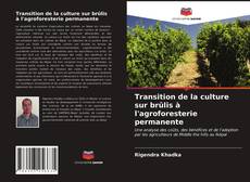 Transition de la culture sur brûlis à l'agroforesterie permanente的封面