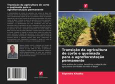 Copertina di Transição da agricultura de corte e queimada para a agroflorestação permanente