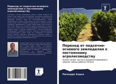 Borítókép a  Переход от подсечно-огневого земледелия к постоянному агролесоводству - hoz