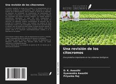 Buchcover von Una revisión de los citocromos