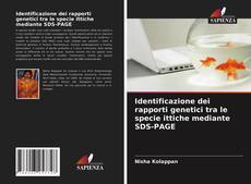 Copertina di Identificazione dei rapporti genetici tra le specie ittiche mediante SDS-PAGE