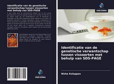 Bookcover of Identificatie van de genetische verwantschap tussen vissoorten met behulp van SDS-PAGE