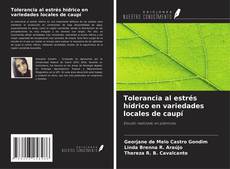 Buchcover von Tolerancia al estrés hídrico en variedades locales de caupí