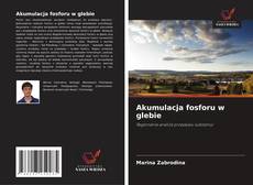 Akumulacja fosforu w glebie kitap kapağı