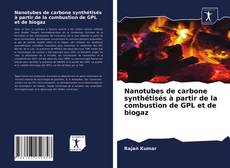 Copertina di Nanotubes de carbone synthétisés à partir de la combustion de GPL et de biogaz