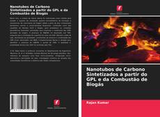 Bookcover of Nanotubos de Carbono Sintetizados a partir do GPL e da Combustão de Biogás
